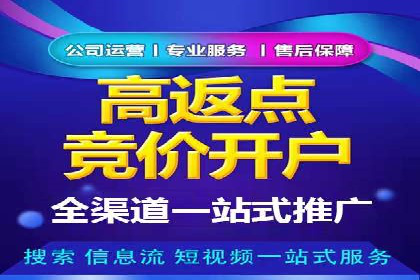 案例研究：关键词竞价排名效果评估